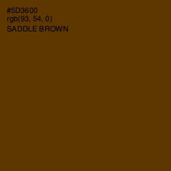 #5D3600 - Saddle Brown Color Image